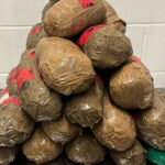 CBP Seizes Over 3K in Hard Narcotics at Laredo Port of Entry