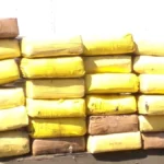 CBP Seizes Over  Million in Cocaine Hidden in Flatbed Truck