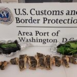 CBP Agriculture Specialists Seize Snake Meat at Washington Dulles International Airport