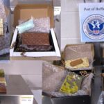 Port of Buffalo CBP Officers Discover Shipments of Psilocybin Chocolate