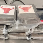 CBP Officers Seize Over 7K in Cocaine at Del Rio Port of Entry