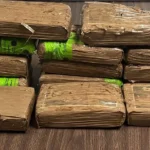 CBP Officers at the Progreso Port of Entry Seize 35 Pounds of Cocaine